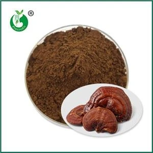 Effets et contre-indications de la poudre de spores de Ganoderma