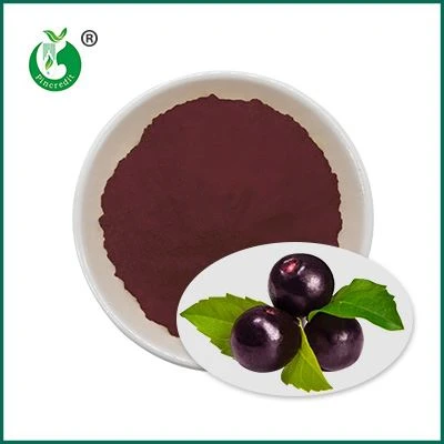 Poudre de jus de baies d’açai