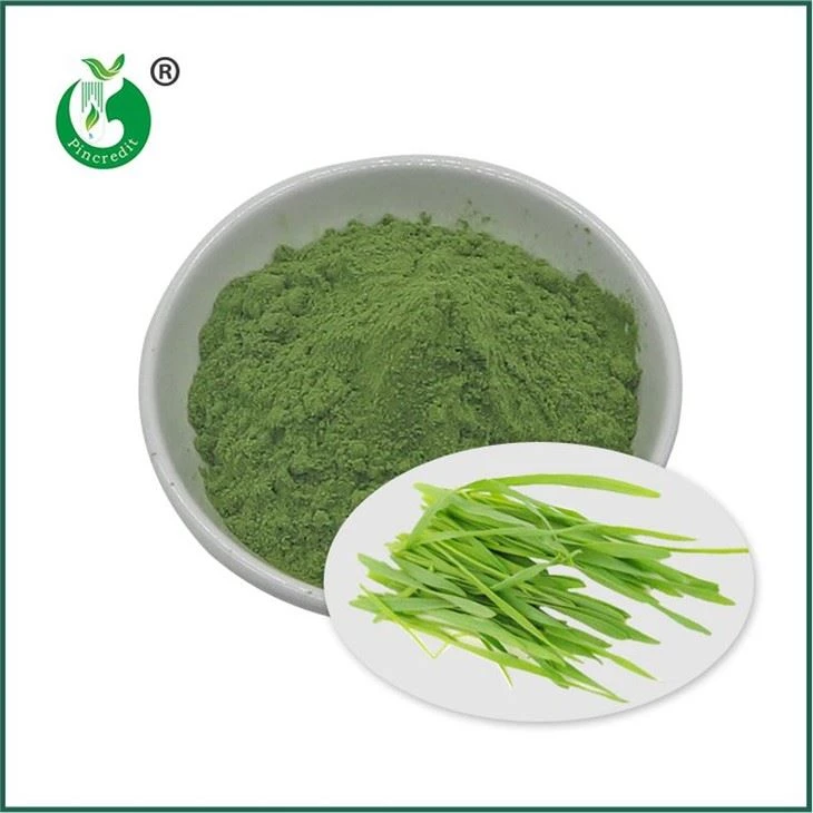 Poudre de jus d’herbe d’orge