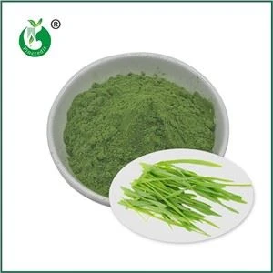 Poudre de jus d’herbe d’orge