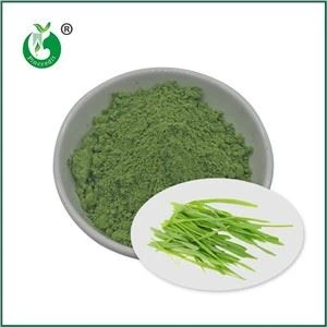 Poudre d’herbe d’orge