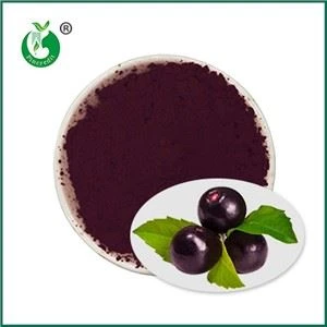 Poudre d'açaï pure