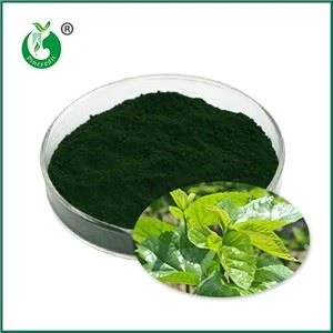 Qu'est-ce que la chlorophylline de cuivre sodique ? À quoi sert-elle ?
