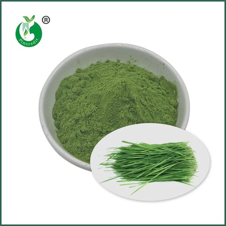 Poudre de jus d’herbe de blé
