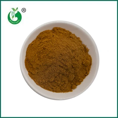 Pincredit Hot Sale poudre d'extrait de champignon biologique