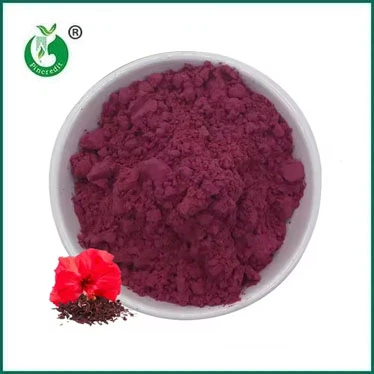 Quels sont les bienfaits de la poudre d’hibiscus ?
