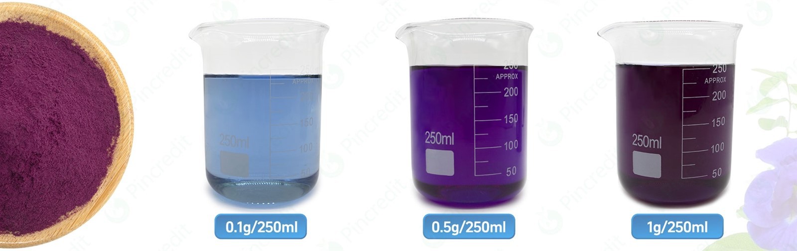 Butterfly Pea Flower Extract