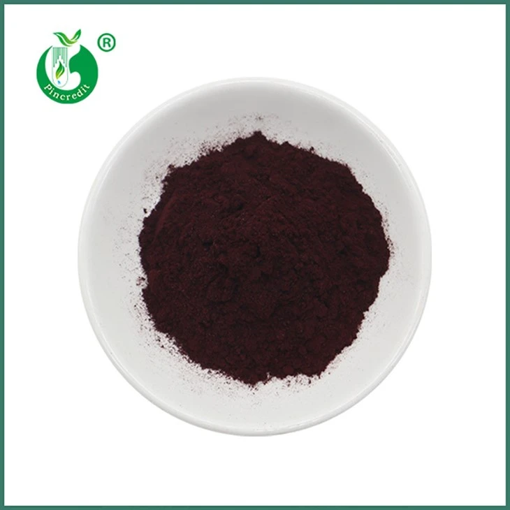Extrait d'Haematococcus Pluvialis en poudre d'astaxanthine