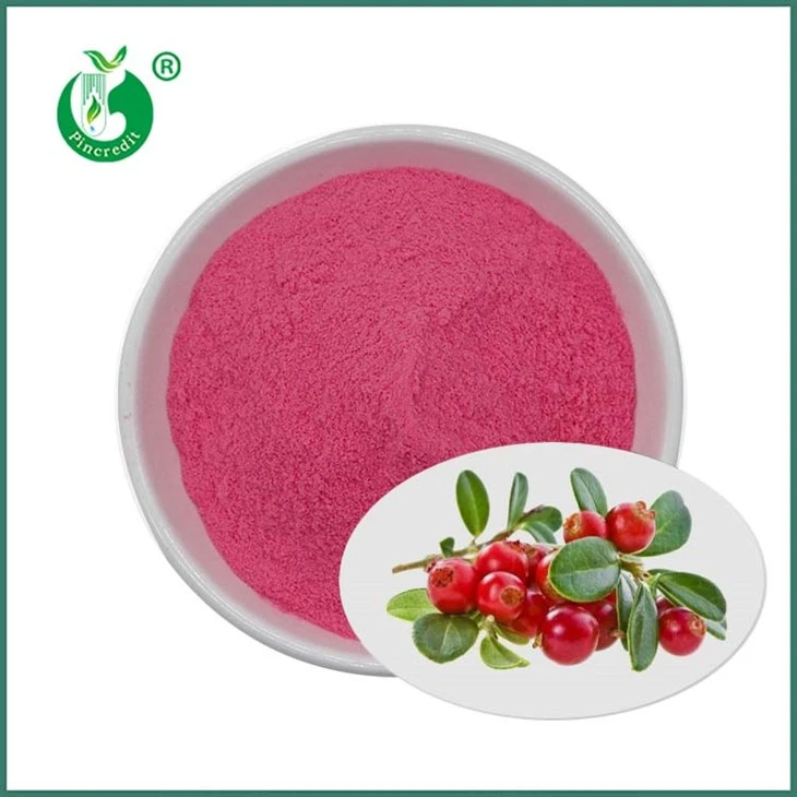 Poudre de jus de canneberge