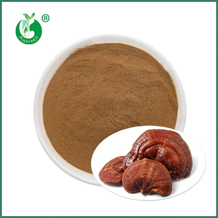 Extrait de Reishi en poudre
