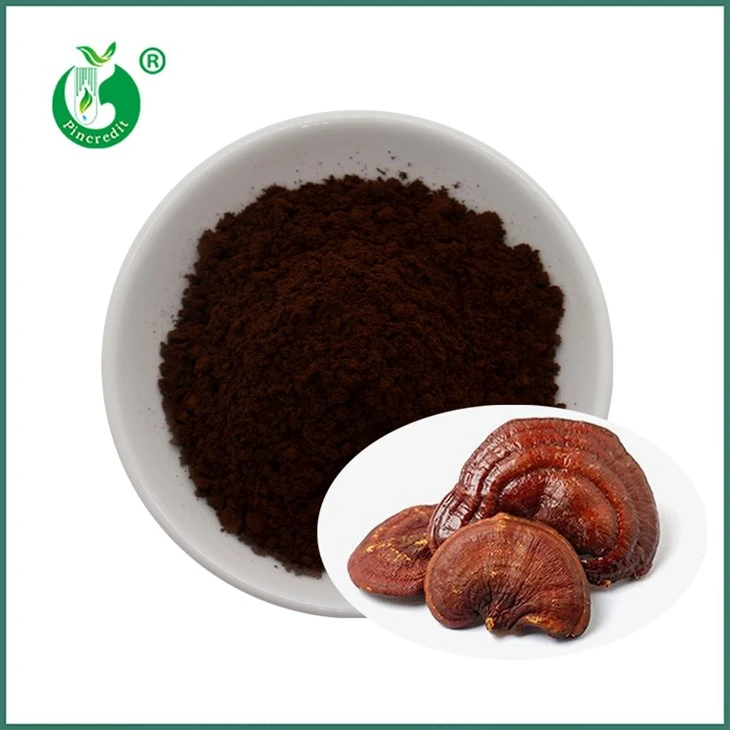 Poudre de spores de Reishi