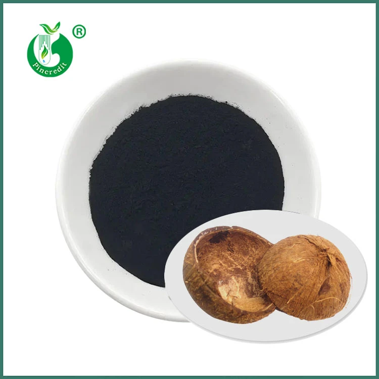 Poudre noire de carbone végétal