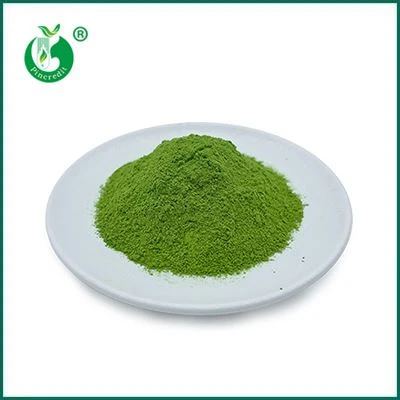 Thé vert matcha en poudre
