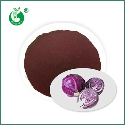 Poudre de jus de chou rouge